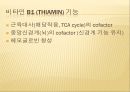 운동에서 비타민의 기능,비타민 결핍 증상,비타민 기능,항산화제,철분흡수율 촉진,비타민 C 결핍증상,비타민 E 기능,항산화제 기여 5페이지