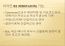 운동에서 비타민의 기능,비타민 결핍 증상,비타민 기능,항산화제,철분흡수율 촉진,비타민 C 결핍증상,비타민 E 기능,항산화제 기여 7페이지