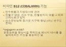 운동에서 비타민의 기능,비타민 결핍 증상,비타민 기능,항산화제,철분흡수율 촉진,비타민 C 결핍증상,비타민 E 기능,항산화제 기여 12페이지