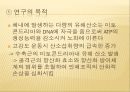 운동에서 비타민의 기능,비타민 결핍 증상,비타민 기능,항산화제,철분흡수율 촉진,비타민 C 결핍증상,비타민 E 기능,항산화제 기여 18페이지