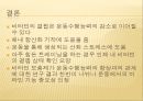 운동에서 비타민의 기능,비타민 결핍 증상,비타민 기능,항산화제,철분흡수율 촉진,비타민 C 결핍증상,비타민 E 기능,항산화제 기여 40페이지
