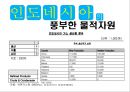 인도네시아의 문화,인도네시아 경제와 무역,한국기업의 인도네시아 진출 성공실패 사례 15페이지