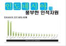 인도네시아의 문화,인도네시아 경제와 무역,한국기업의 인도네시아 진출 성공실패 사례 18페이지