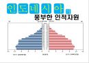 인도네시아의 문화,인도네시아 경제와 무역,한국기업의 인도네시아 진출 성공실패 사례 19페이지