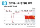 인도네시아의 문화,인도네시아 경제와 무역,한국기업의 인도네시아 진출 성공실패 사례 20페이지