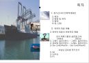 정기선사의 전략적 제휴,전략적 제휴 현황,제휴그룹과 글로벌 선사,글로벌 정기선사 2페이지