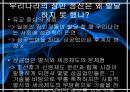 일본의 장인정신,일본 장인 개념의 배경,이에모토 제도,서양식 신분구조,권력획득의 대체수단 8페이지