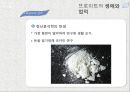 지그문트 프로이트 생애 업적,지그문트 프로이트철학,지그문트 프로이트 청소년기,지그문트 프로이트 결혼,지그문트 프로이트 분석 10페이지