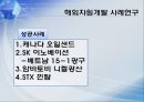 해외자원개발의 중요성,해외자원개발의 현황,해외자원개발의 성공사례,성공적인 해외자원개발 10페이지