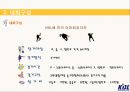 프로농구 활성화 전략,스포츠마케팅,KBL 농구 6페이지
