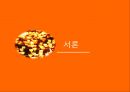 촛불시위 사회학적 관점,촛불시위의 유래와 의미,구성주의적 관점,구조기능론적 관점 3페이지