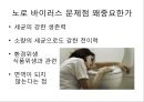 환경위생 - 폐렴, 인플루엔자,개인위생 - 요실금,식품위생 - 노로 바이러스 18페이지
