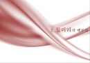 힐러리 성공사례,힐러리 마케팅,힐러리 전략분석,브랜드마케팅,서비스마케팅,글로벌경영,사례분석,swot,stp,4p 5페이지