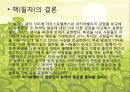 행복의 철학,행운에 대하여,아리스토텔레스 vs 마키아벨리,행운 좋은운수 행복한운수,복권을 통해 본 두 학자의 관점,로또 당첨1등은 인간의 행복 8페이지