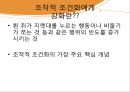 행동주의,행동주의의 기본가정,행동심리학,파블로의 실험구성,조작적 조건화 이론 23페이지