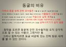 플라톤 국가,객관적 관념론의 창시자 플라톤,소크라테스의 제자 플라톤,아카데미아 설립 플라톤,소피스트VS소크라테스,플라토닉 러브 26페이지