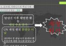현대국제정치,글로벌 거버넌스와 UN,글로벌 거버넌스,글로벌 거버넌스의 개념,UN의 창설 12페이지