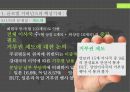 현대국제정치,글로벌 거버넌스와 UN,글로벌 거버넌스,글로벌 거버넌스의 개념,UN의 창설 14페이지