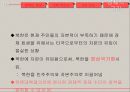 북핵 대응책,1~3차 핵실험대응,한미관계와 북핵대응,비핵화,한_미 동맹의 문제점 18페이지