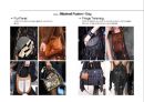 2016년 백&슈즈 트렌드 [2016.Bag & Shoes Trend] 32페이지
