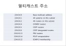IGMP & Multicast Routing Protocol 6페이지