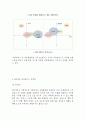 [ ABC마트 마케팅전략 보고서 ] ABC마트 기업분석과 경영성공전략분석및 ABC마트 마케팅 SWOT,STP,4P전략분석과 향후시사점과 느낀점 14페이지