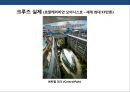 크루즈 상품 및 크루즈 산업의 이해 [Cruise Deals and understanding of the cruise industry] 24페이지