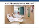크루즈 상품 및 크루즈 산업의 이해 [Cruise Deals and understanding of the cruise industry] 43페이지