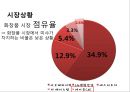 미샤 MISSHA 브랜드분석과 성공요인분석및 미샤 마케팅 사례분석과 미샤 마케팅 개선방안제안 PPT 13페이지