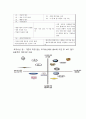GM 쉐보레 마케팅케이스 연구 : ( 쉐보레 기업분석과 마케팅 4P,SWOT,STP전략분석및 쉐보레 새로운 마케팅전략 제안) 8페이지