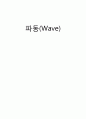파동(wave) 물리 실험 레포트. 연세대학 1페이지