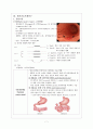 위암 케이스 Early Gastric cancer [A+자료입니다.]  9페이지