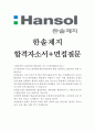 한솔제지자소서,한솔제지자기소개서,합격자소서+면접/자기소개서한솔제지자소서,한솔제지면접 지원동기,한솔제지 합격자소서 1페이지