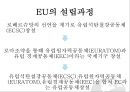 ★ 국제학개론 - EU를 통해서 본 AEC의 미래 전망 ( EU의 설립과정, AEC의 설립과정, EU의 장단점, AEC의 장단점, AEC의 미래 전망 ) 4페이지