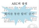 ★ 국제학개론 - EU를 통해서 본 AEC의 미래 전망 ( EU의 설립과정, AEC의 설립과정, EU의 장단점, AEC의 장단점, AEC의 미래 전망 ) 13페이지