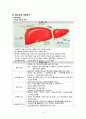 간암 케이스 (A+) 비교불가 15페이지