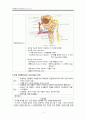 AKR - 말기신부전 케이스 4페이지