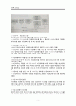 지역 통합건강증진사업 5페이지