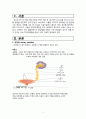 [성인]배뇨장애 대상자의 간호-요정체, 요실금, 신경성 방광증, 요역류, 수신증-  3페이지