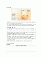 [모성] 유방자가검진교육자료 2페이지