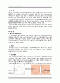 성인간호학 # appendicitis 간호 _ 충수염 간호_ 3페이지