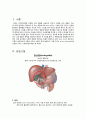 담낭염(cholecystitis)-케이스 3페이지