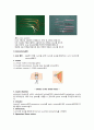 + 문헌고찰 + 척추협착증 케이스스터디 , 수술실 케이스스터디 5페이지