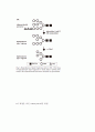 (논문번역)N-glycosylation of recombinant therapeutic glycoproteins in plant systems 5페이지