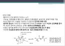 단백질 공학-세포내 구성물 및 입체구조해석 4페이지