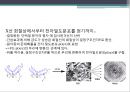 단백질 공학-세포내 구성물 및 입체구조해석 5페이지