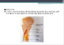 단백질 공학-세포내 구성물 및 입체구조해석 8페이지