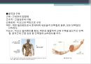 단백질 공학-세포내 구성물 및 입체구조해석 9페이지