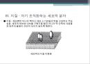 단백질 공학-세포내 구성물 및 입체구조해석 11페이지