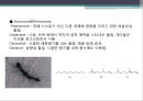 단백질 공학-세포내 구성물 및 입체구조해석 16페이지
